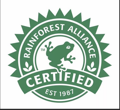 Rainforest Alliance протестирует свою новую систему сертификации на какао 